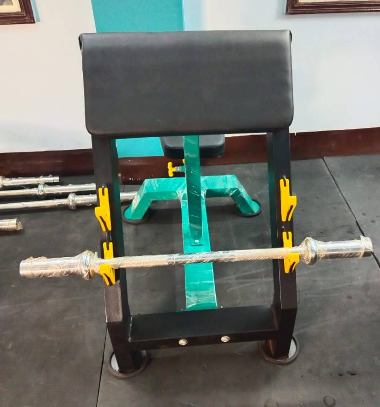 Preacher Curl Bench